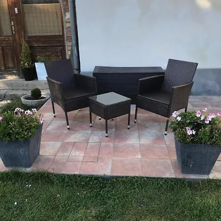 V Konskem Arealu Zidovice