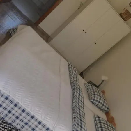 V Konskem Arealu Zidovice *