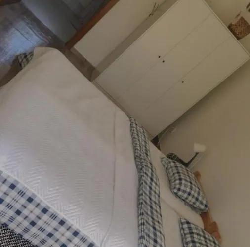 V Konskem Arealu Zidovice *